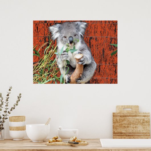 Koala Snacktijd Poster (Keuken)