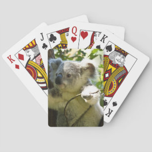 koala speelkaarten