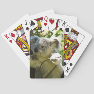 koala speelkaarten