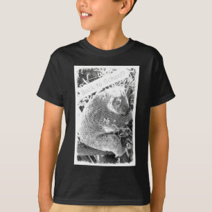 Koala Terug naar school Gegraveerde look T-shirt