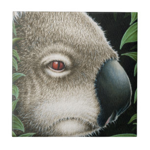 Koala Tile Tegeltje
