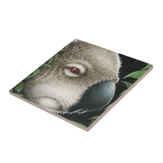 Koala Tile Tegeltje (Zijkant)
