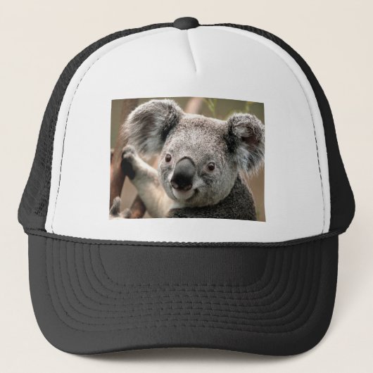 Koala Trucker Pet (Voorkant)