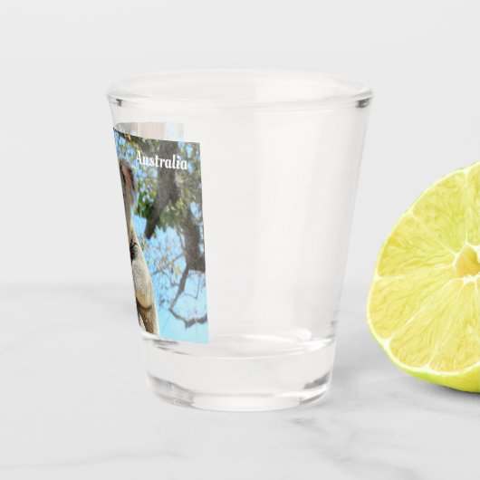 Koala uit Down under - Australia Shot Glass Shot Glas (Rechts)
