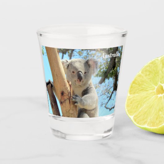 Koala uit Down under - Australia Shot Glass Shot Glas (Voorkant)
