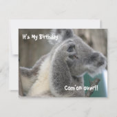 Koala uitnodiging verjaardagsfeestje (Voorkant)