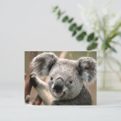 koala un animal unico briefkaart (Staand voorkant)