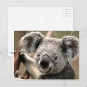 koala un animal unico briefkaart (Voorkant / Achterkant)