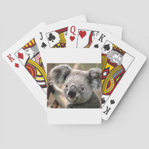 koala un animal unico speelkaarten