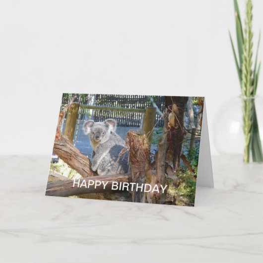 Koala Verjaardag Kaart (Voorkant)