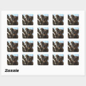 koala vierkante sticker (Vel)