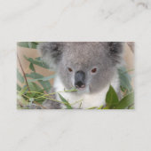 Koala Visitekaartje (Achterkant)
