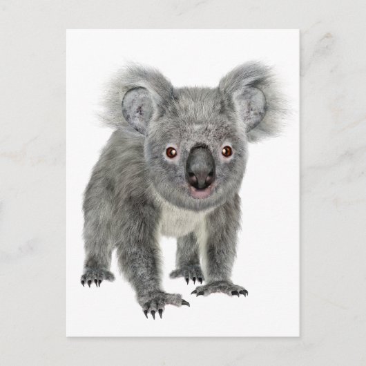 Koala Vooruitziend Briefkaart (Voorkant)