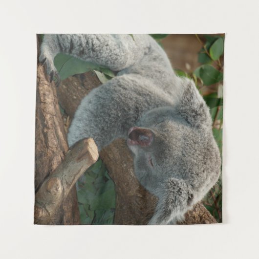 Koala Wandkleed (Voorkant (horizontaal))