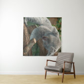Koala Wandkleed (In Situ (horizontaal))