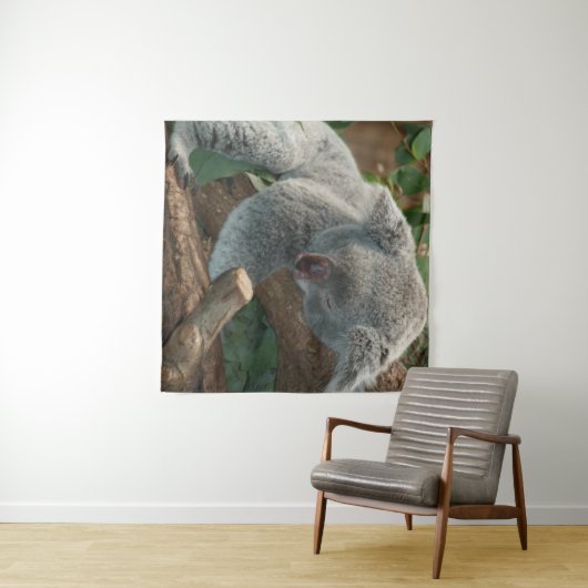 Koala Wandkleed (In Situ (horizontaal))