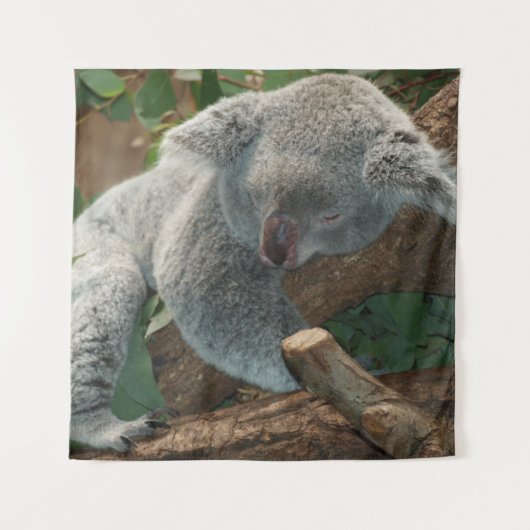 Koala Wandkleed (Voorkant)