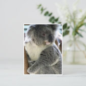 koala welig briefkaart (Staand voorkant)