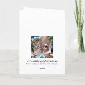 Koala Wenskaart Kaart (Achterkant)