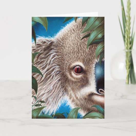 Koala Wenskaart Kaart (Voorkant)