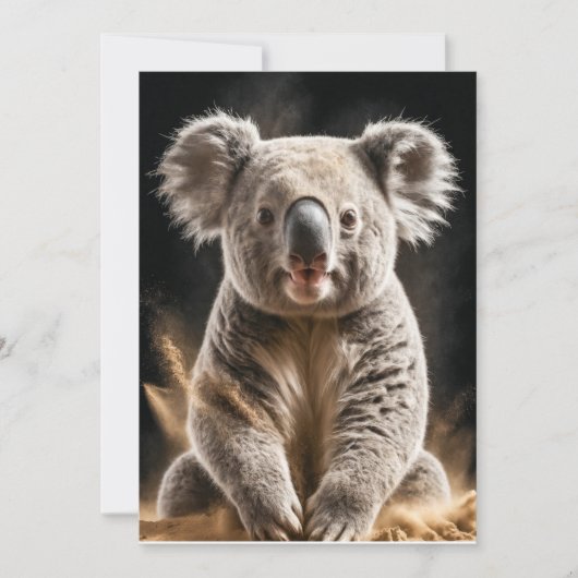 Koala Wild Animal Elegant Dramatische Portret Mist Aankondiging (Voorkant)
