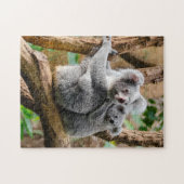 Koala with Baby in a Tree in Australia Legpuzzel (Horizontaal)