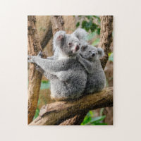 Koala with Baby in a Tree in Australia