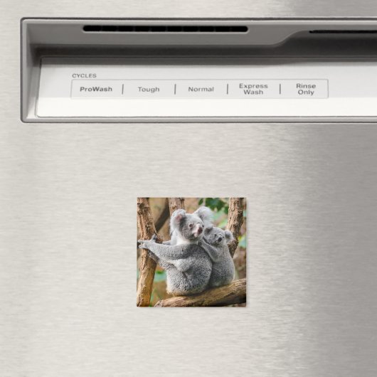 Koala with Baby in a Tree in Australia Magneet (Insitu (Vaatwasser))