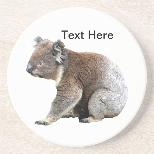 Koala Zandsteen Onderzetter (Voorkant)