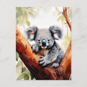 Koala zittend in een eucalyptusboom briefkaart