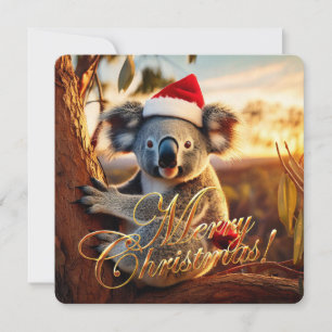 Koala zittend in Eucalyptusboom Prettig Kerstfeest Feestdagenkaart