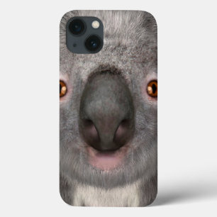 Koalabeer iPhone 13 Hoesje