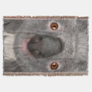 Koalabeer Deken