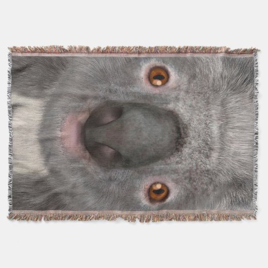 Koalabeer Deken (Voorkant)