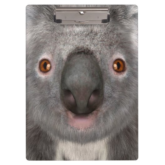 Koalabeer Klembord (Voorkant)