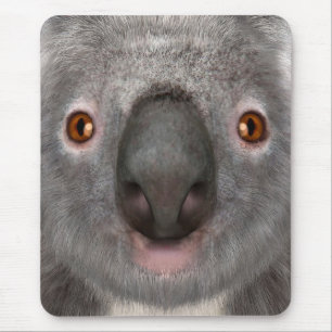 Koalabeer Muismat