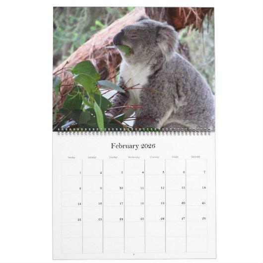 Koala's 2025 grote kalender (Feb 2026)