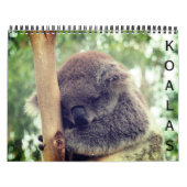 Koala's 2025 kalender (Hoes)