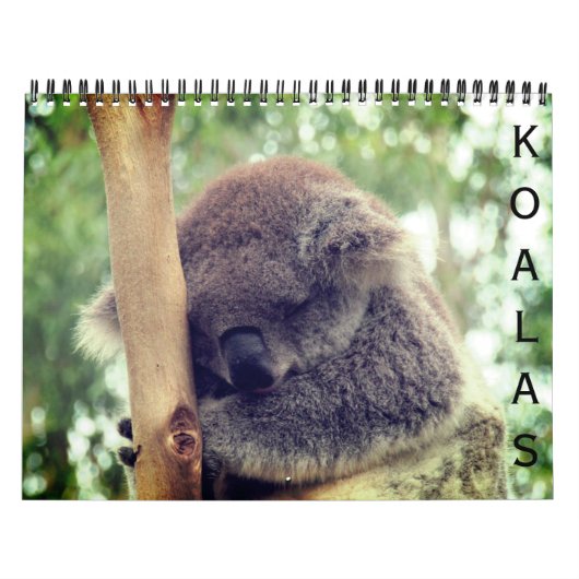 Koala's 2025 kalender (Hoes)