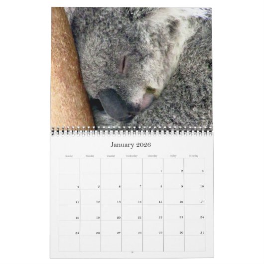 Koala's 2025 kalender (Jan 2026)
