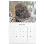 koala's 2027 grote kalender (Mar 2027)