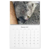 koala's 2027 grote kalender (Jan 2027)