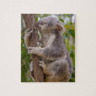 Koala's Australië Legpuzzel