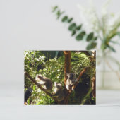 koalas briefkaart (Staand voorkant)