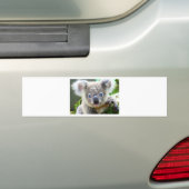 Koala's Bumpersticker (Op auto)