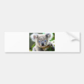 Koala's Bumpersticker (Voorkant)