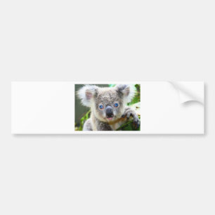 Koala's Bumpersticker