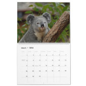 Koalas Calendar Kalender (Mar 2026)