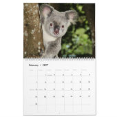 Koalas Calendar Kalender (Feb 2027)