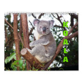 Koalas Calendar Kalender (Hoes)